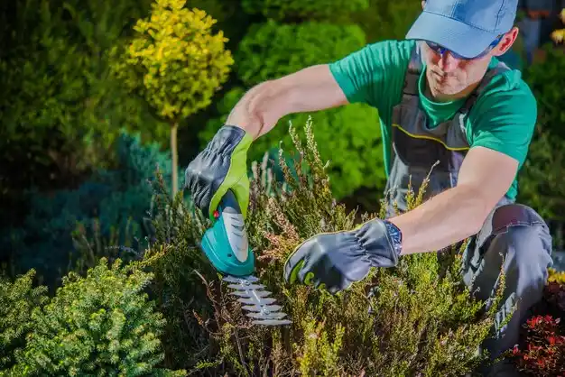 landscaping services Foristell